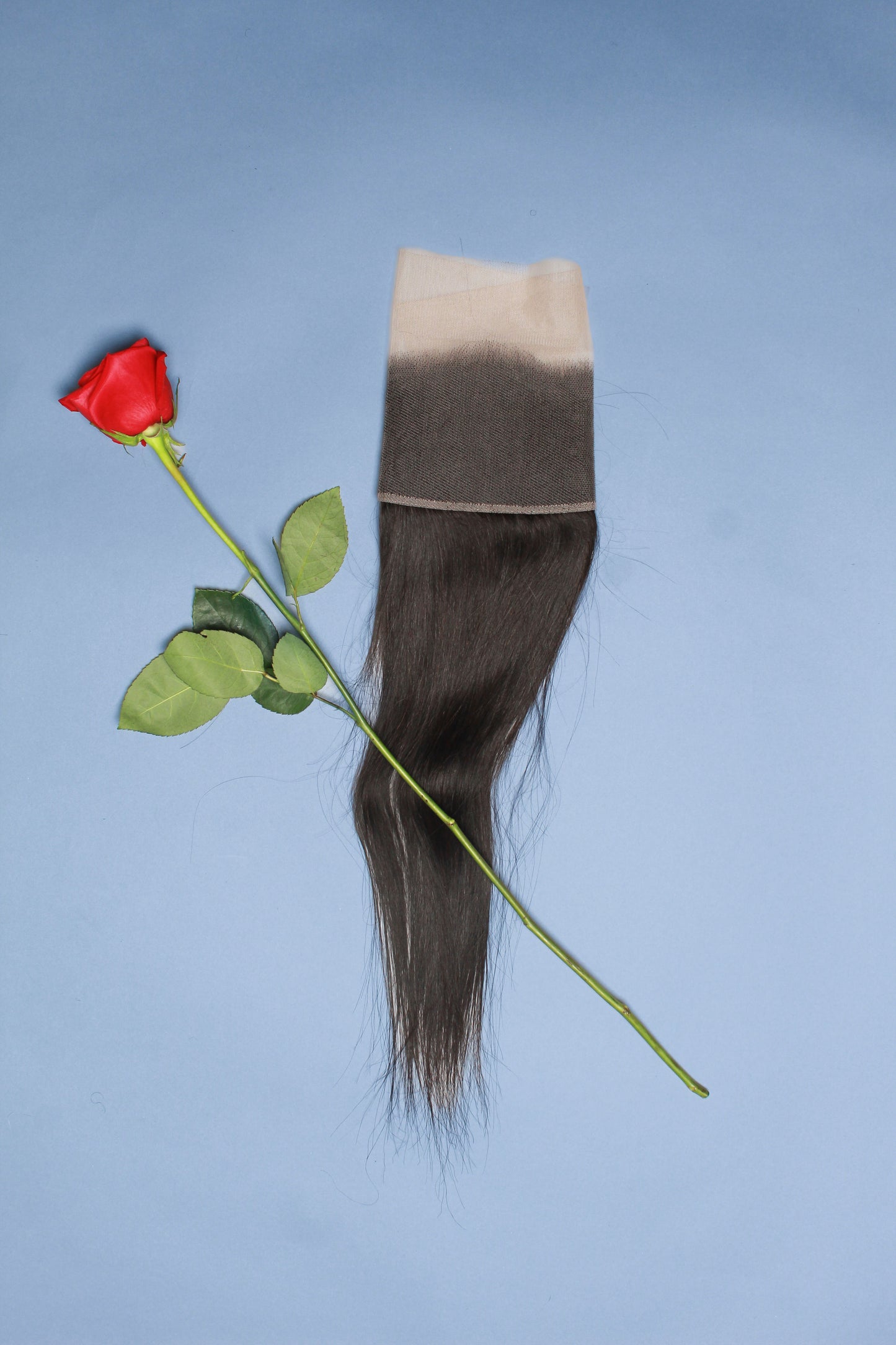 1B 13x4 Transparent Frontal