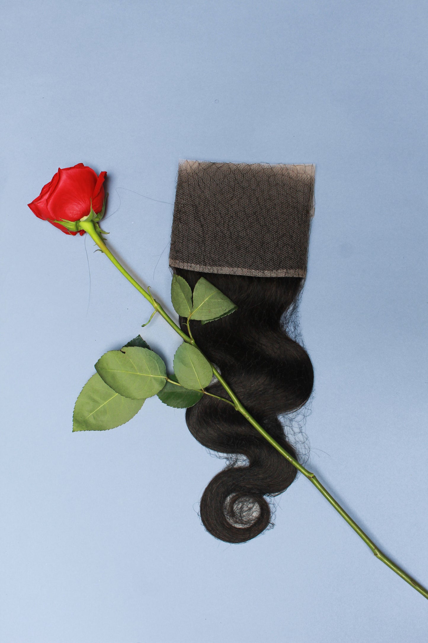 1B 13x4 Transparent Frontal