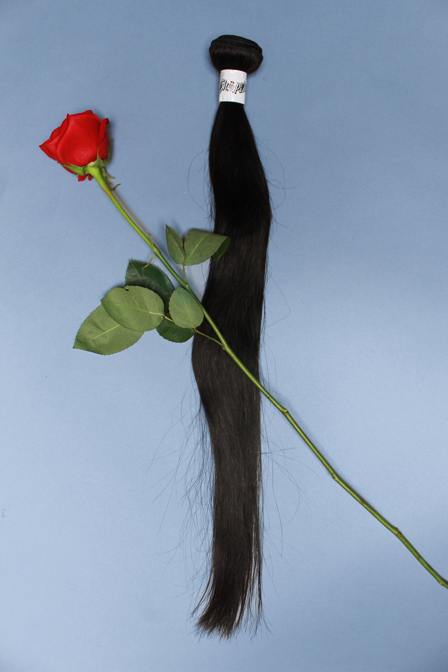 1B Individual Bundle