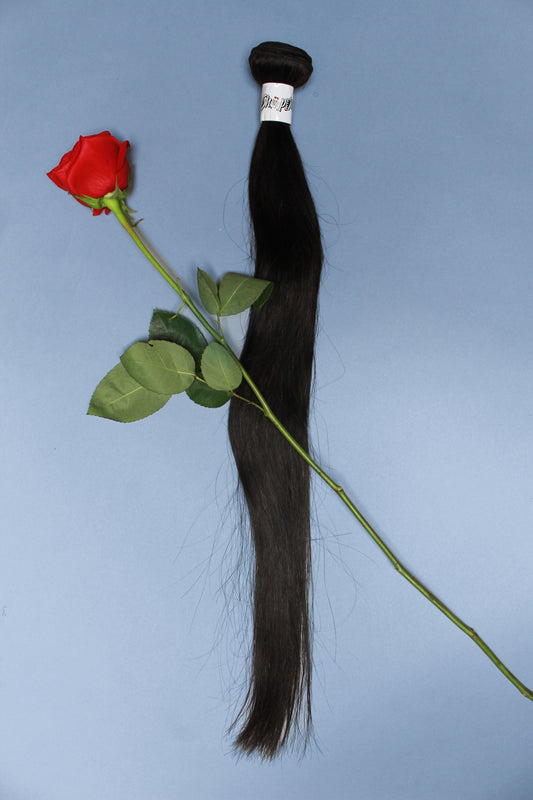 1B Individual Bundle